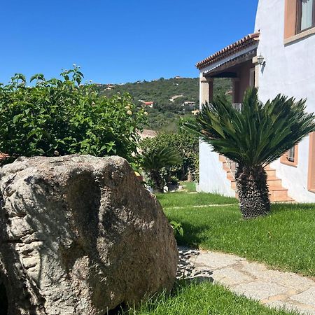 אולביה Villa Antonella Apartments מראה חיצוני תמונה